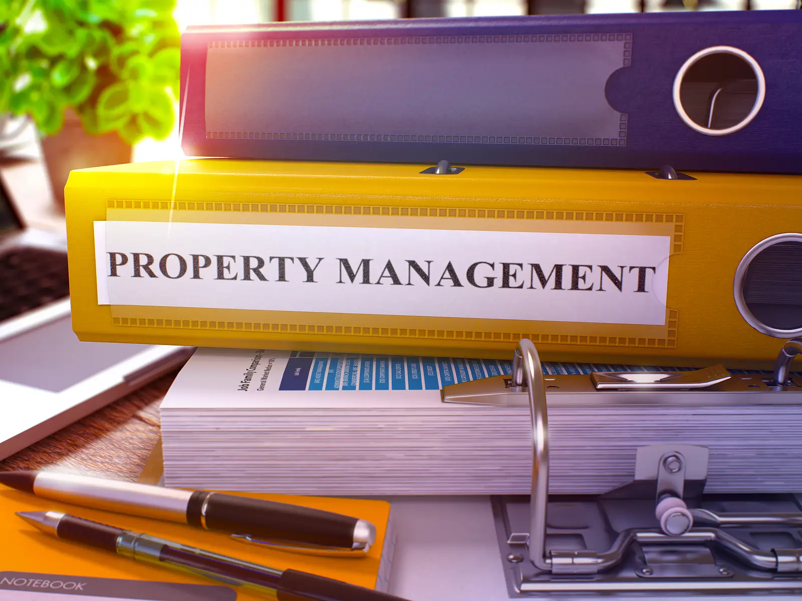 Why Local Knowledge Matters in Miami Property Management